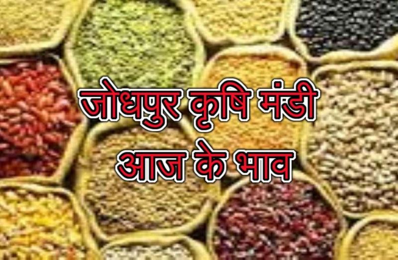 krishi mandi bhav: जीरे में आई मंदी तो ईसबगोल ने मारा उछाल, ग्वार-गम के रहे ये भाव...