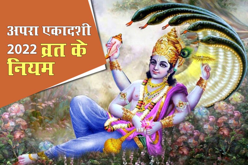 do's and don'ts during ekadashi, apara ekadashi 2022 fast, achala ekadashi vrat, ekadashi fast rules in hindi, एकादशी व्रत के नियम, एकादशी व्रत में क्या नहीं खाना चाहिए, एकादशी व्रत में क्या नहीं करना चाहिए, jyeshtha month ekadashi 2022, apara ekadashi 2022 date,