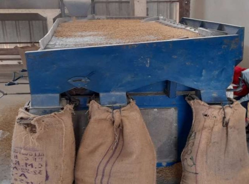 गन्ने की मिठास के बीच सुगंध बिखेर रही बासमती,किसान खुद उपजा रहे बीज