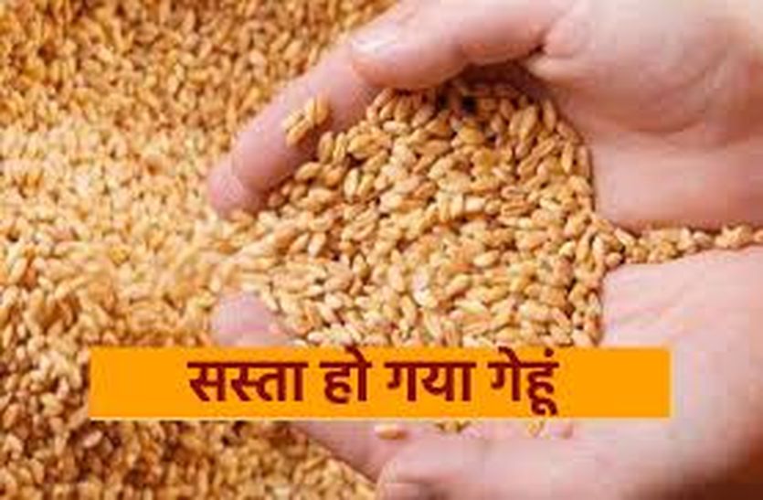 Ban on export of wheat, the price fell by Rs 200, the arrival in the market was negligible
