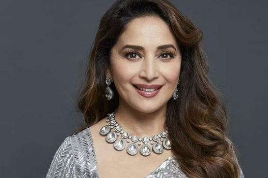 Madhuri Dixit is planning to leave acting and do this work