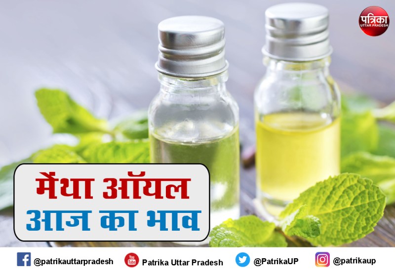 Mentha Oil Rate Mentha Oil Price Today : मेंथा ऑयल रेट में तेजी बरकरार, जानें आज का Mint Oil Price