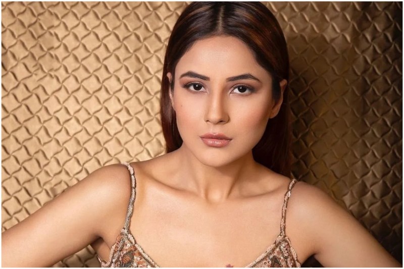shehnaaz gill will charge heavy amount kabhi eid kabhi diwali