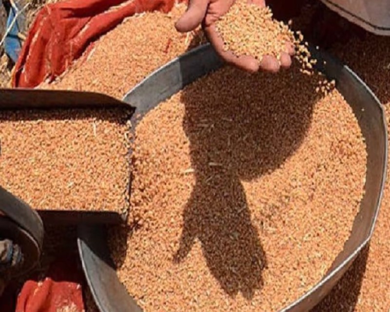 Free Ration : खुशखबरी, फ्री राशन वितरण की आखिरी डेट बढ़ाई गई, जानें अंतिम डेट