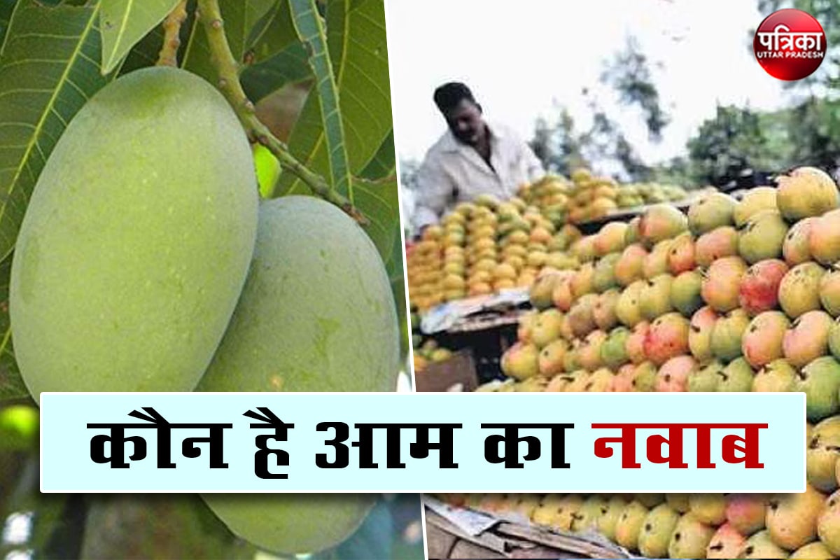 File Photo of Mango Quality in Market