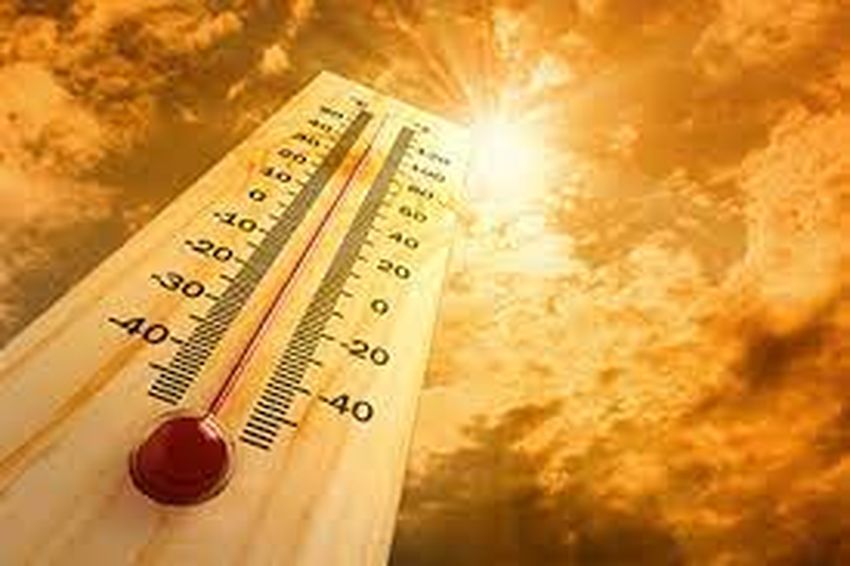 climate change : बढ़ती गर्मी बढ़ा रही मिज़ाज की गर्मी