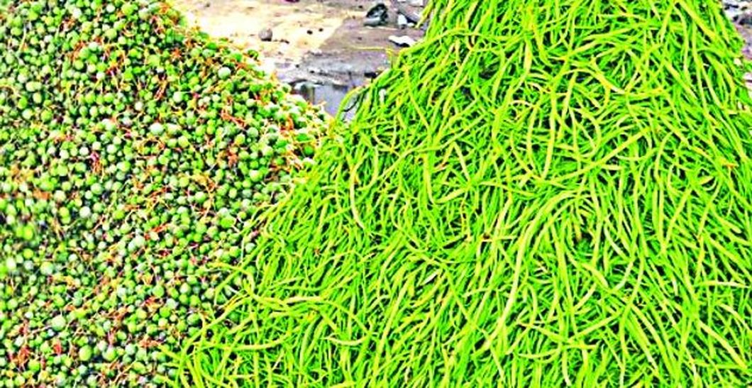 डॉ. रिछपालसिंह, एसोसिएट प्रोफेसर बॉटनी, राजकीय महाविद्यालय लूनी,