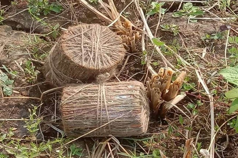 पश्चिम बंगाल का पूर्व मेदिनीपुर जिला बम धमाकों से दहला, तलाशी के दौरान बरामद हुए 1000 से अधिक बम