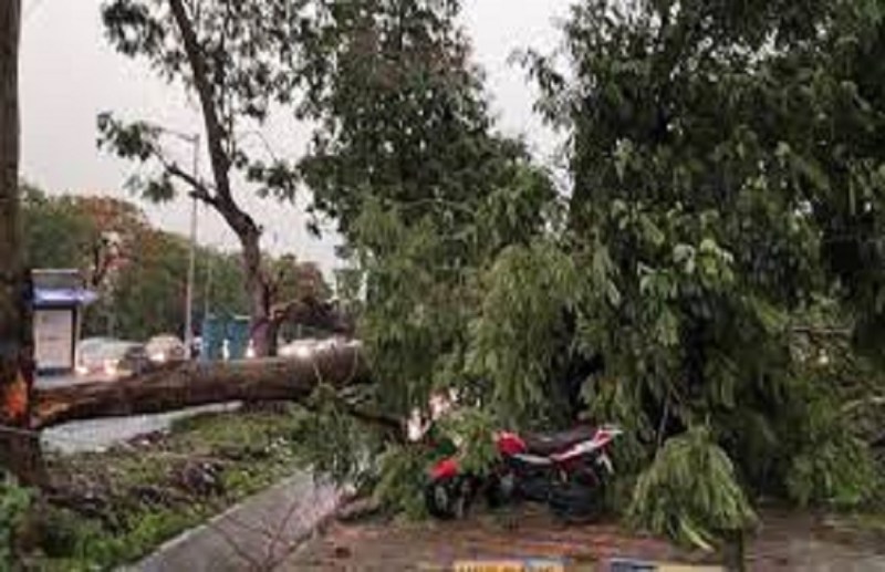 WEST BENGAL KALBAISHAKHI2022-कहां बंद कर दी 2500 किमी लंबी बादल की परत ने सूर्य की रोशनी, जानिए यहां