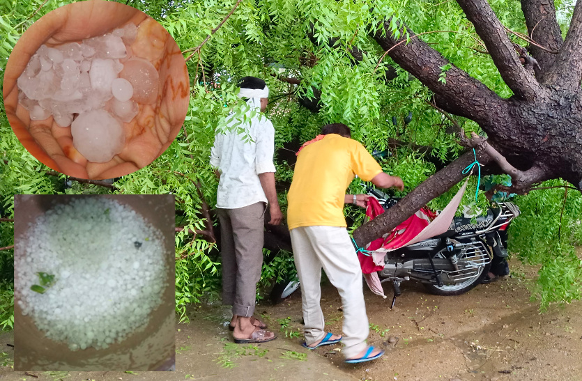 weather update: rain and hailstorm in rajasthan