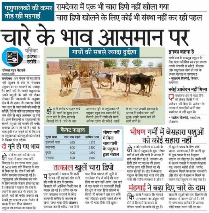 सैंकड़ों पशुओं पर 3 डिपो, कैसे मिलेगा चारा