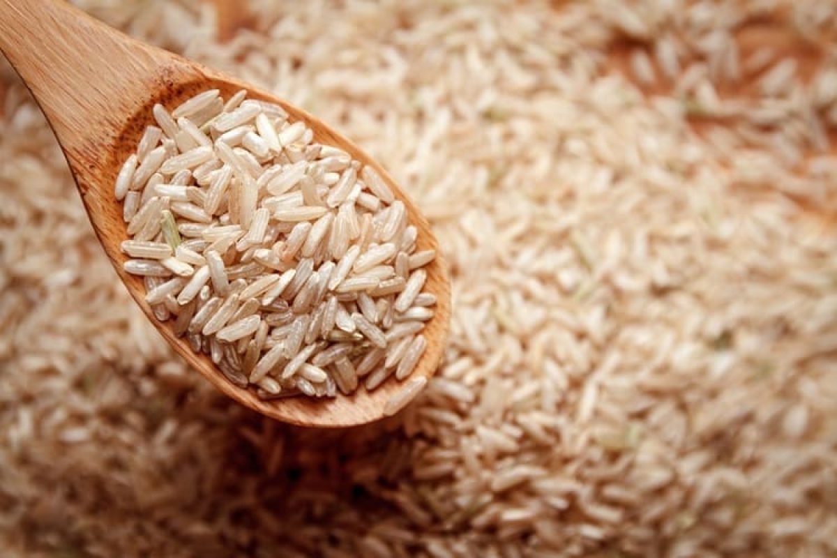 Brown Rice Benefits: हड्डियों को मजबूत बनाने से लेकर डायबिटीज कंट्रोल करने में मददगार होता है ब्राउन राइस, जानें इसके फायदे