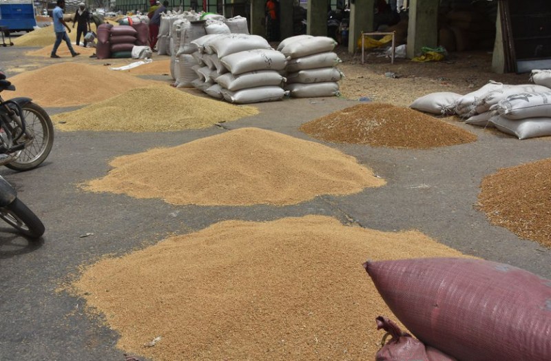 Punjab and Haryana liking the taste of our wheat