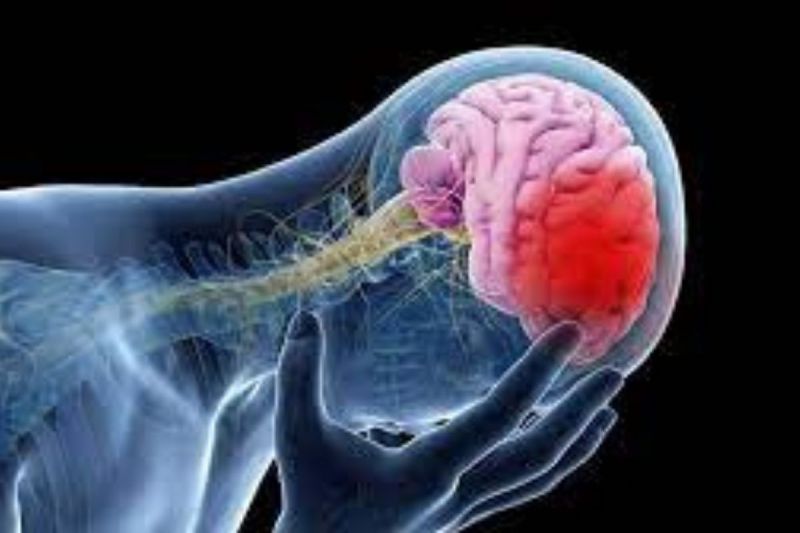 कर्नाटक : मस्तिष्क को प्रभावित कर सकता है रक्त में ज्यादा धातु