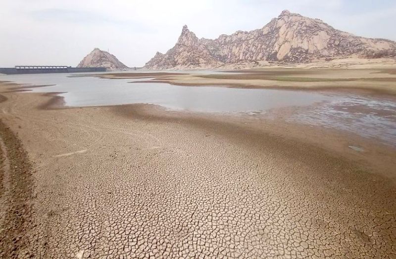 पाली की आंखों में आ रहे आंसू...क्यों, पढ़ें पूरी खबर