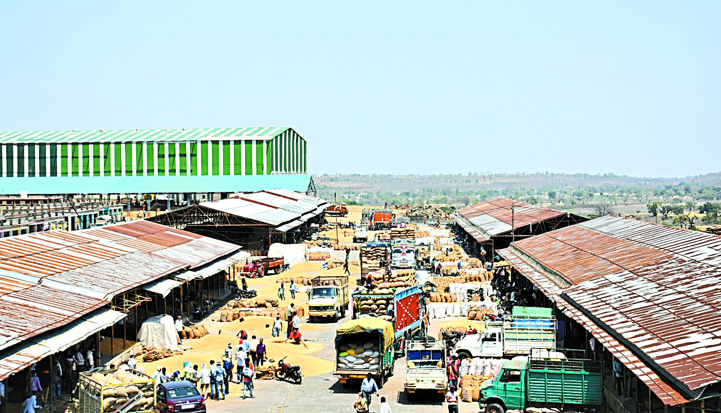 mandi