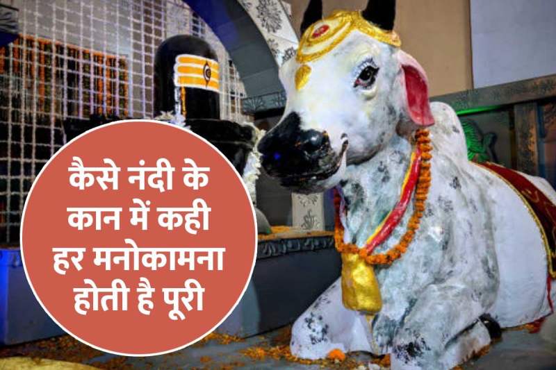 lord shiva, nandi puja niyam, rules to worship lord shiva, nandi puja benefits, lord shiva nandi, nandi ke kaan mein kya khana chahiye, lord shiva nandi puja vidhi, शिव पूजा नियम, नंदी के कान में क्यों बोलते हैं, अपनी मनोकामना कैसे पूरा करें, 
