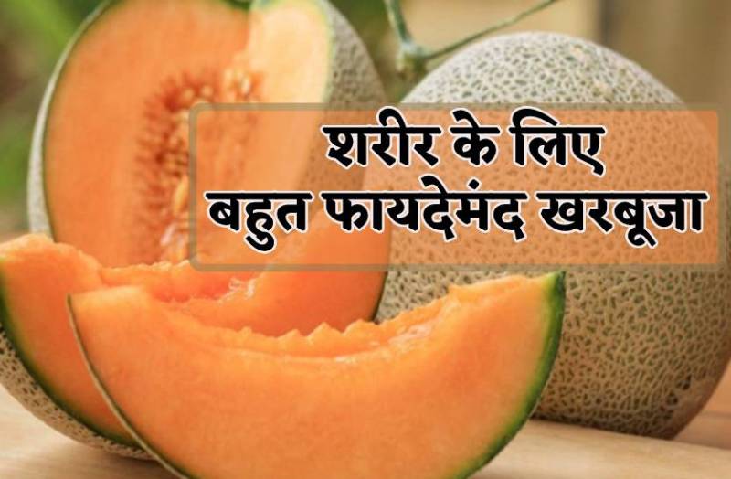 यहां सबसे ज्यादा होता है विटामिन और मिनरल्स से भरपूर खरबूजा