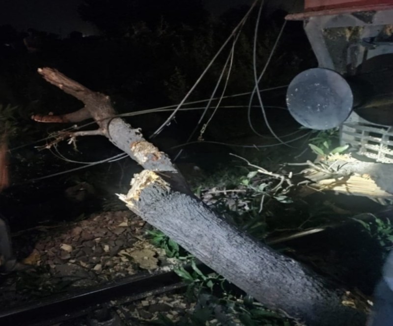 आंधी ने मचाई तबाही, पेड़ के साथ दौड़ी ट्रेन,घंटों बाधित रहा रेलवे ट्रैक