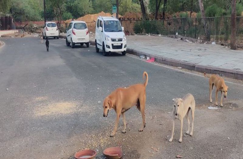 जयपुर से डरावनी खबर, घर के बाहर खेल रहे बच्चे भी नहीं सुरक्षित