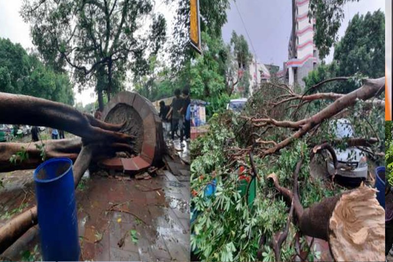 thunderstorm hit delhi 