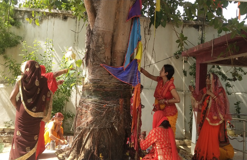 पति की लंबी आयु के लिए सुहागिन महिलाओं ने रखा वट-सावित्री व्रत