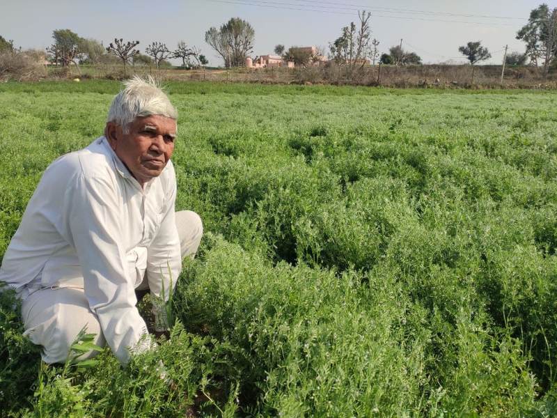 यूं बढ़ा सकते हैं उत्पादन और आय