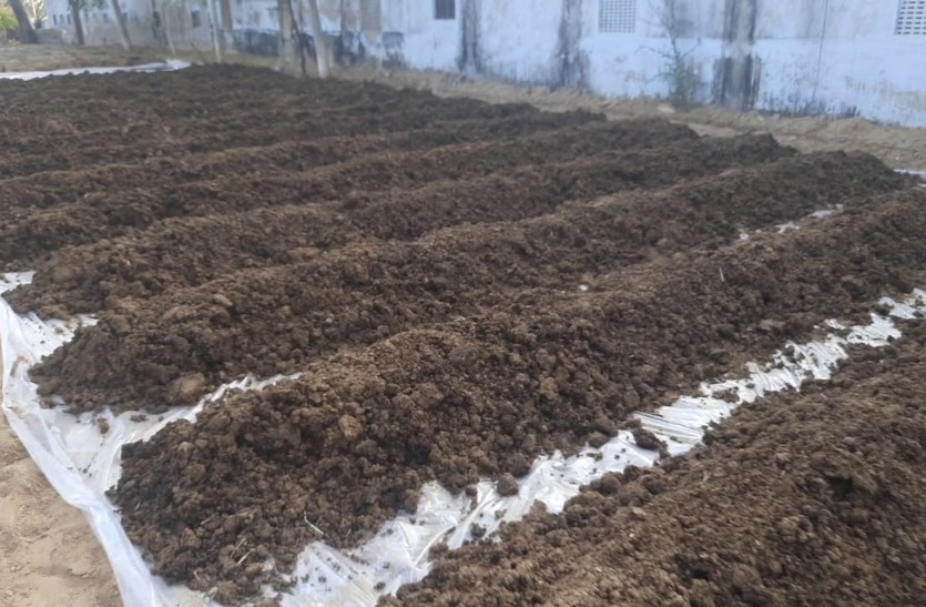 dr_sharvan_yadav_organic_vermicompost_farm.jpg