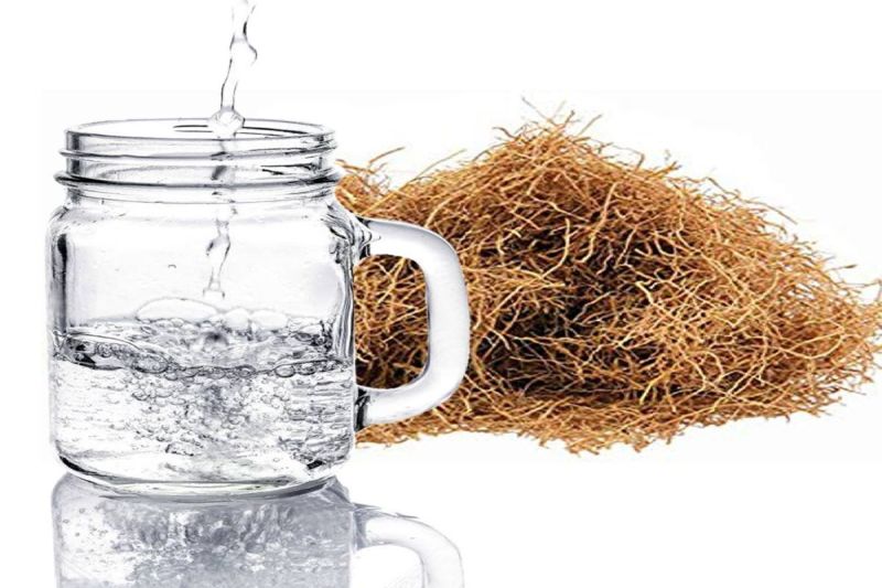 Khus Water Benefits: गर्मियों में खस का पानी पीने से मिलते हैं सेहत को अनगिनत फायदे, कई समस्याओं को दूर करने में होता है फायदेमंद