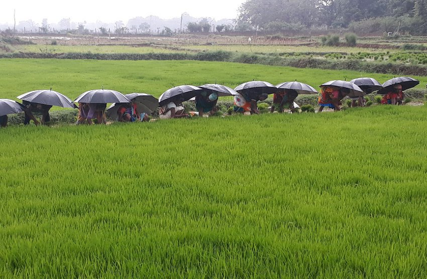 प्रतीकात्मक चित्र