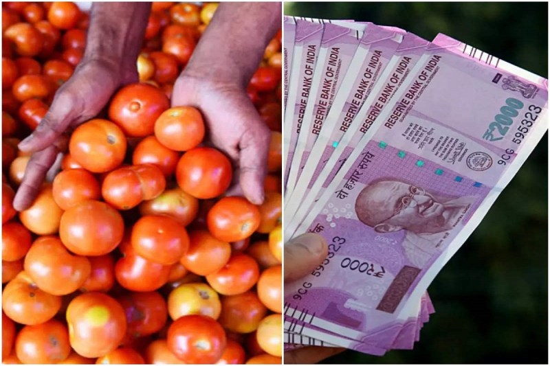 Tomato Price: यूपी में महंगाई से 'लाल' हुआ टमाटर, एक दिन में कीमत में हुई इतनी उछाल, जानें आज के नए भाव