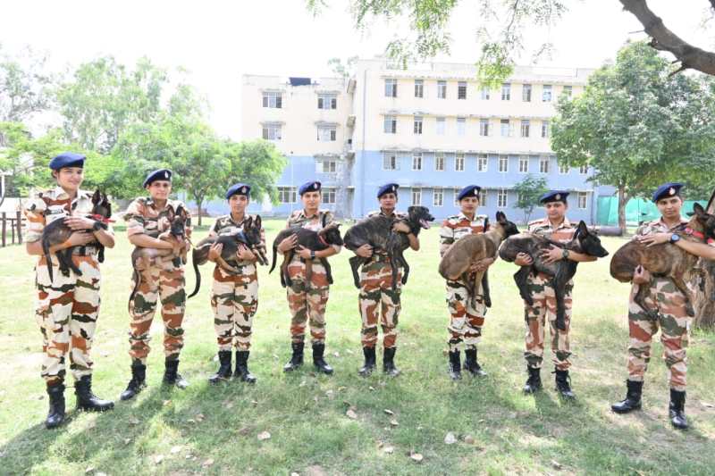 itbp2.jpeg