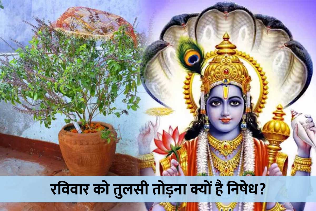 Vishnu puja- बृहस्पतिवार को भगवान विष्णु की पूजा को प्रसन्न कर आशीर्वाद  प्राप्त करने की विधि | how can you get easily blessings of lord vishnu |  Patrika News