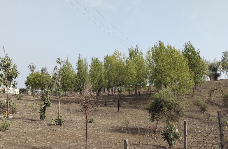 World Environment Day