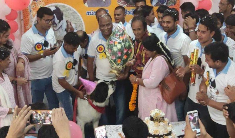 Dog Alex के Birthday में विदेश से आए मेहमान, 11 बजे कटा 11 किलो का केक
