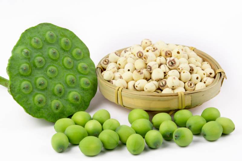 कमाई के साथ सेहत भी दे रहा फूल मखाना