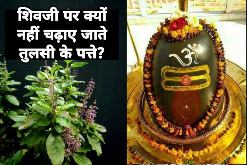 shiv par tulsi kyon nahi chadai jati, why tulsi is not offered to lord shiva, shiv puja rules, lord shiva and tulsi, भगवान शिव पर क्या नहीं चढ़ाना चाहिए, भगवान शिव की पूजा कैसे करनी चाहिए, शिव जी पर क्या नहीं चढ़ाना चाहिए, शिव पूजा के नियम, 