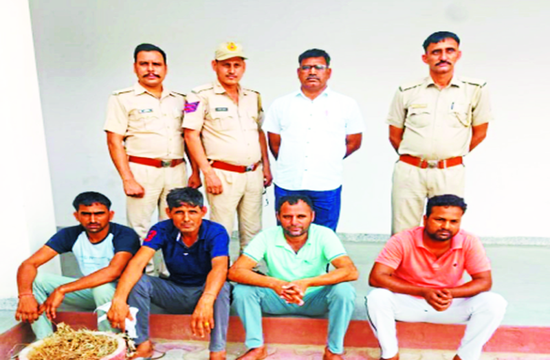 Gangster Clean Bold Operation: टीमों ने कई जगह दी दबिश, दो हिस्ट्रीशीटर सहित चार को दबोचा