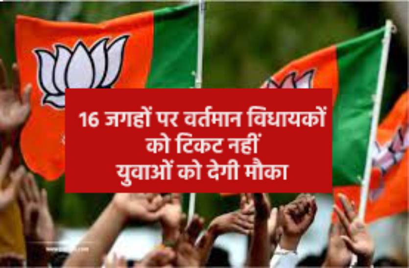 bjp_survey.png