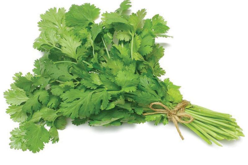 Green Coriander Benefits: ब्लड शुगर लेवल को कंट्रोल कम करने से लेकर एनीमिया की समस्या को दूर करने में मददगार होता है, हरा धनिया