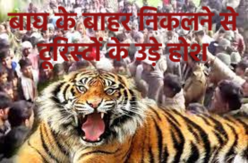 tiger_van_vihar.png