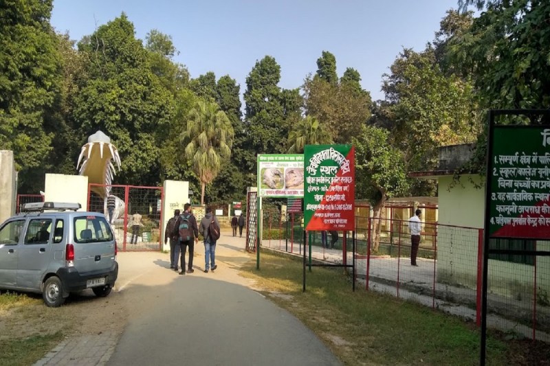 Kukrail Night Safari: अब लखनऊ के कुकरैल में लीजिए नाइट सफारी का मजा, योगी सरकार ने की खास तैयारी