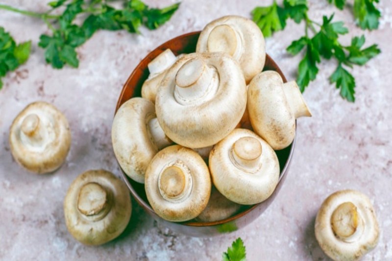 Mushroom Benefits: जानिए मशरूम के है कमाल के फायदे, कई बीमारियों के लिए है रामबाण