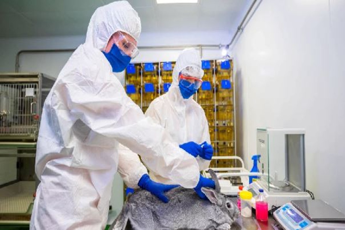 Coronavirus First Vaccine Anocovax Launch For Animals In India