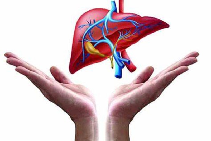 लिवर के लिए नुकसानदायक होती हैं ये चीजें, न करें इन्हें डाइट में शामिल