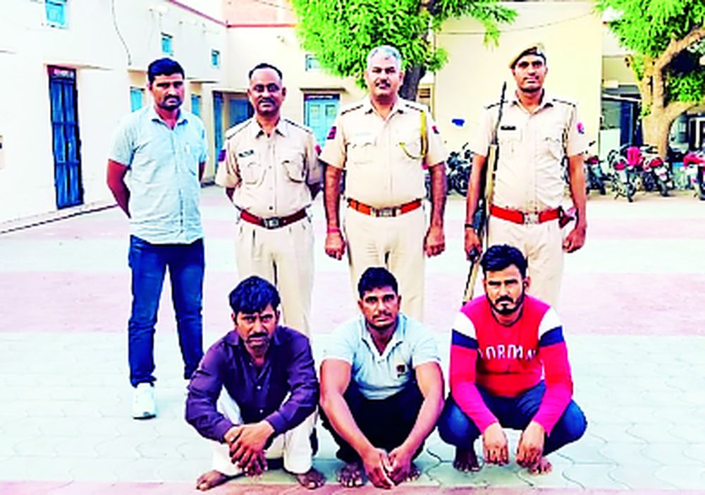 गायों से भरा ट्रक पकड़ा, तीन गिरफ्तार