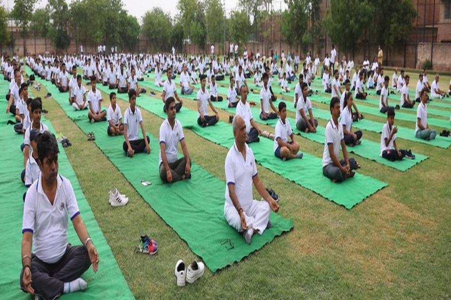 YOGA DAY: सांसद के साथ 500 लोगों ने किया वृक्षासन, देखें वीडियो