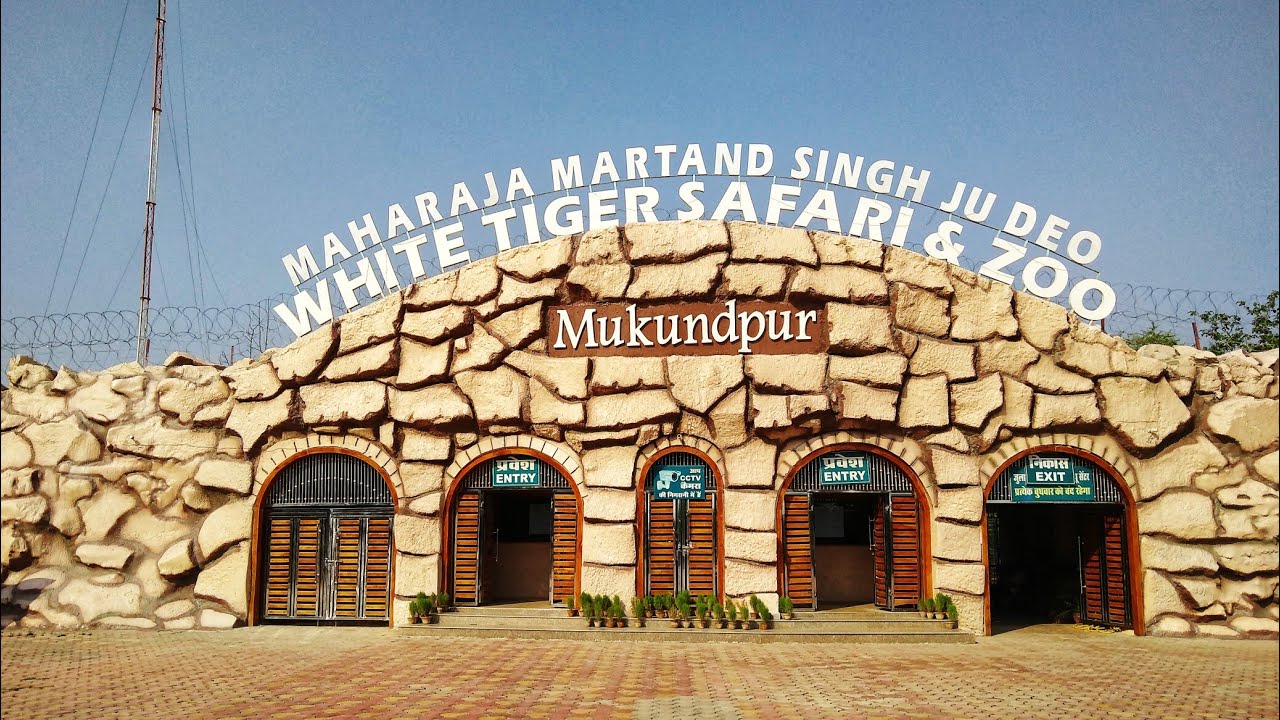 मुकुंदपुर चिडिय़ाघर के बारे में जानें, कितना हुआ निर्माण और कौन से हैं जानवर | Mukundpur Zoo And White Tiger Safari