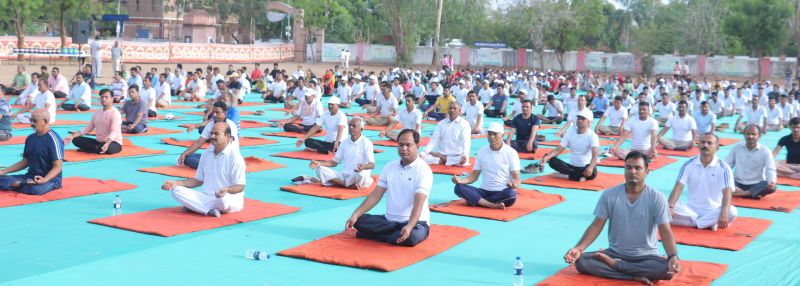 जिलेभर में हुए योग के कार्यक्रम, सिरोही के नवीन भवन में पंद्रह सौ लोगों ने किया समूह में योगा