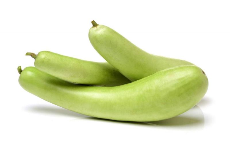 Bottle Gourd Benefits: लौकी के है अनगिनत फायदे, वजन कम करने से लेकर हड्डियों को मजबूत बनाने में होता है सहायक